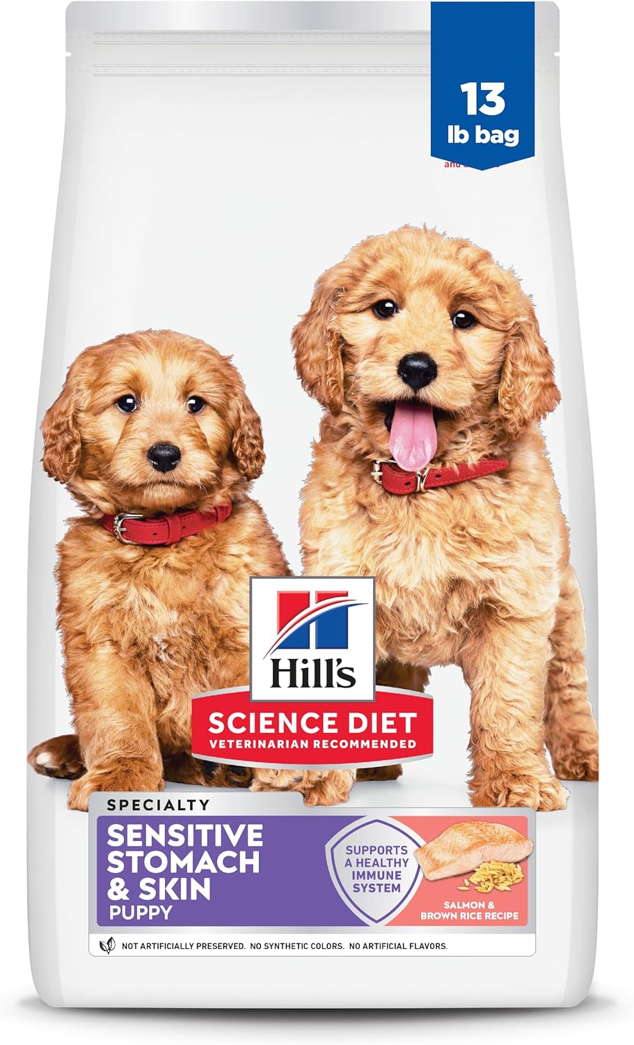 Hill's Science Diet Puppy Sensitive Stomach & Sensitive Skin Salmon & Brown Rice Dry Dog Food