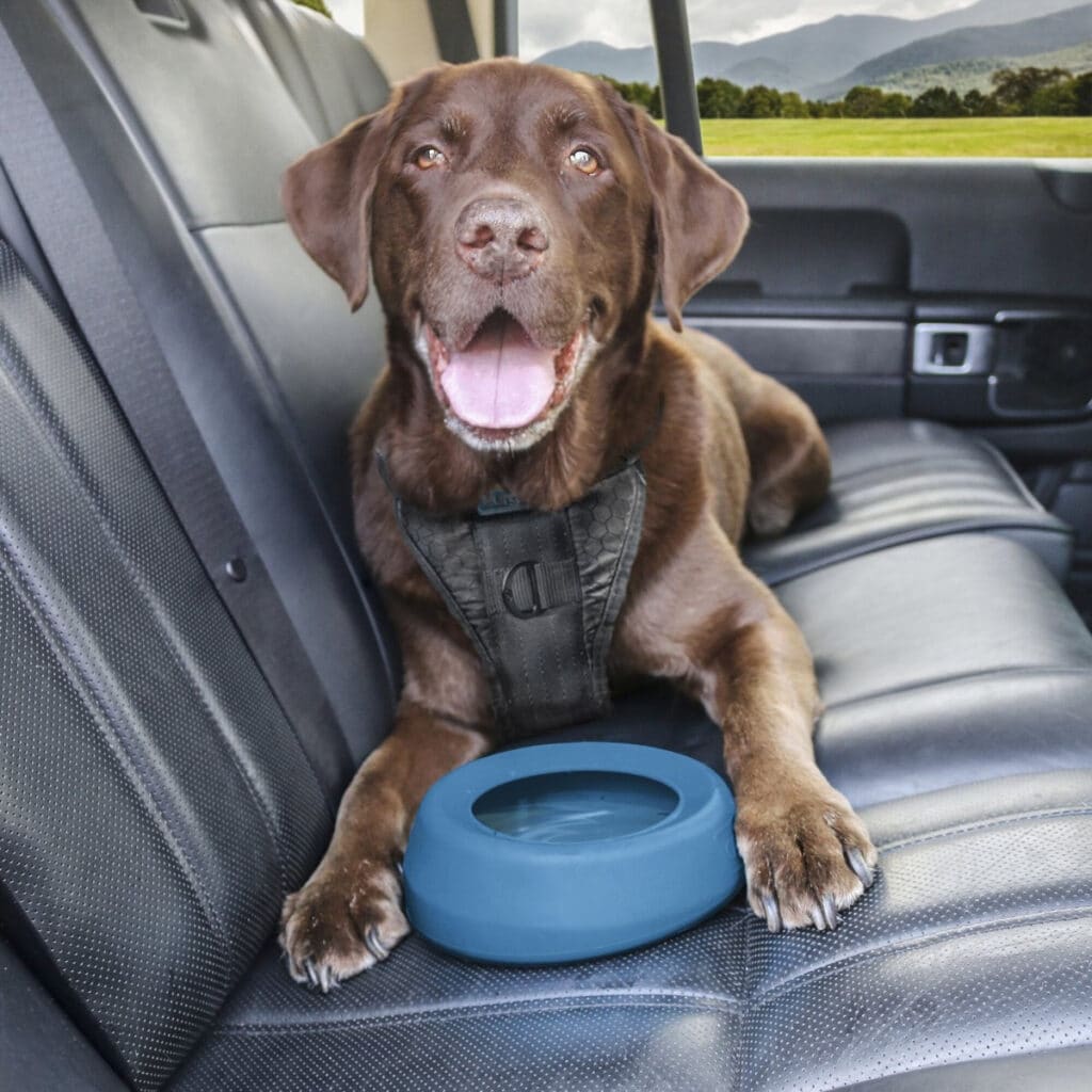 Kurgo No Spill Dog Travel Bowl
