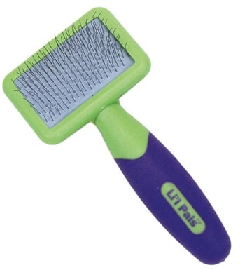 Li’l Pals W6202 Dog Brush