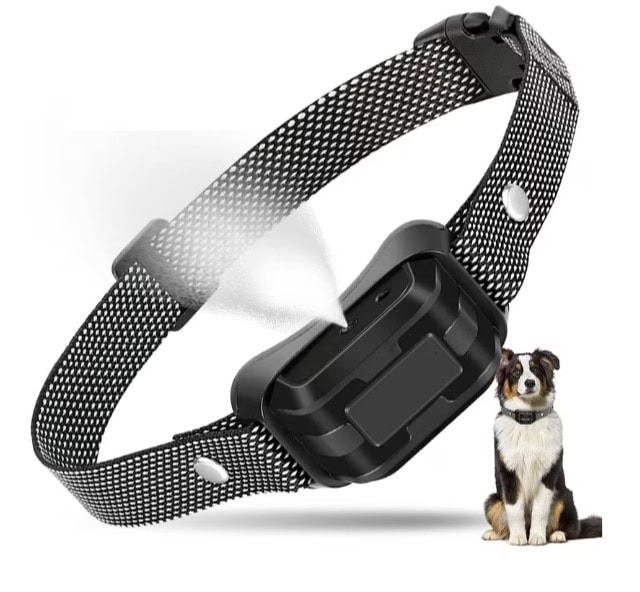 LuckyPets Collar