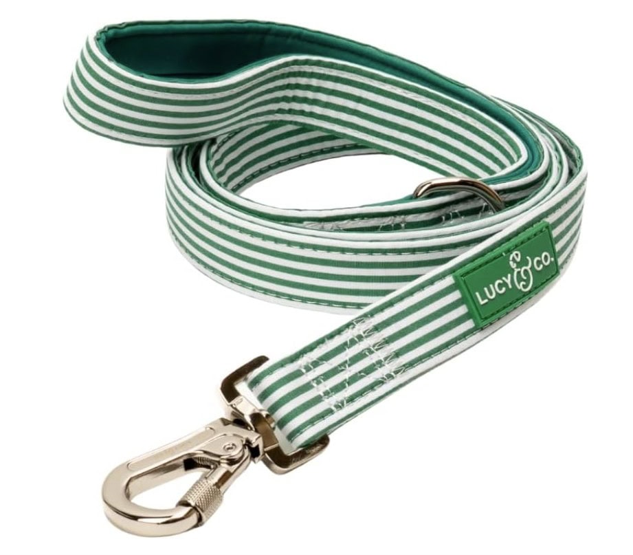 Lucy & Co. Tomato, Tomahto Dog Leash