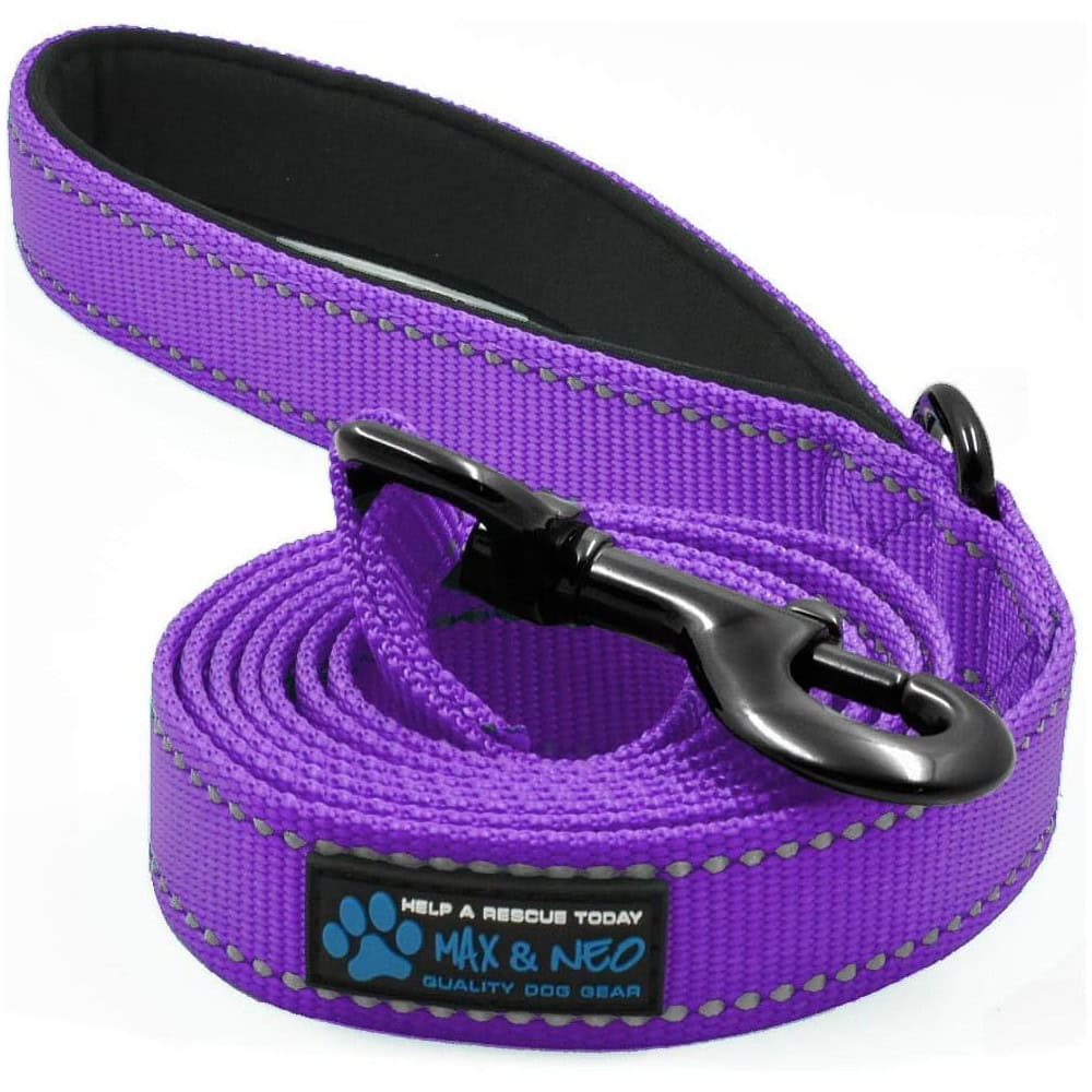 Max and Neo Reflective Nylon Dog Leash