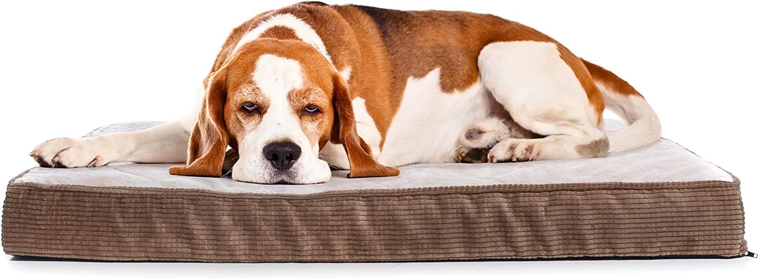 Milliard Quilted Orthopedic Dog Bed