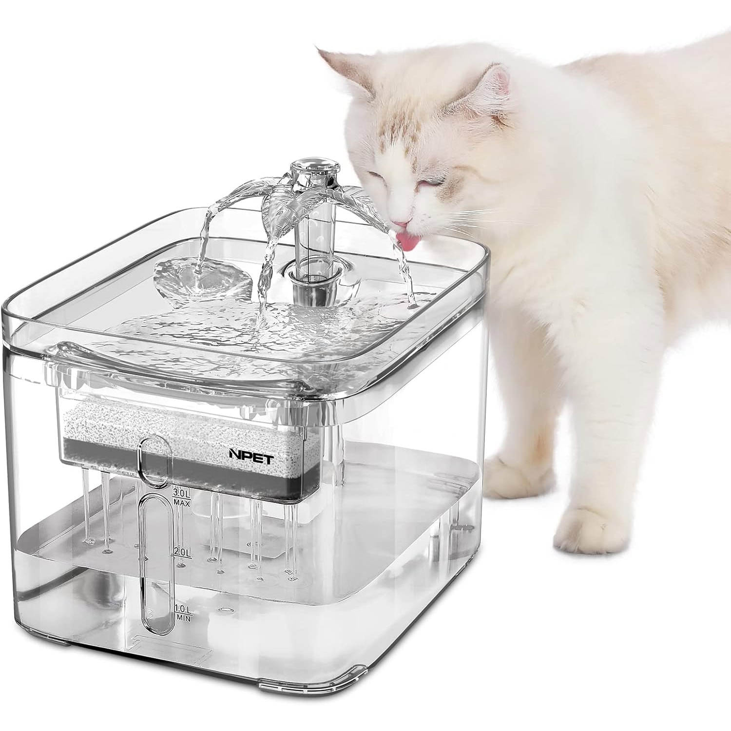 NPET WF020TP Dog Water Fountain