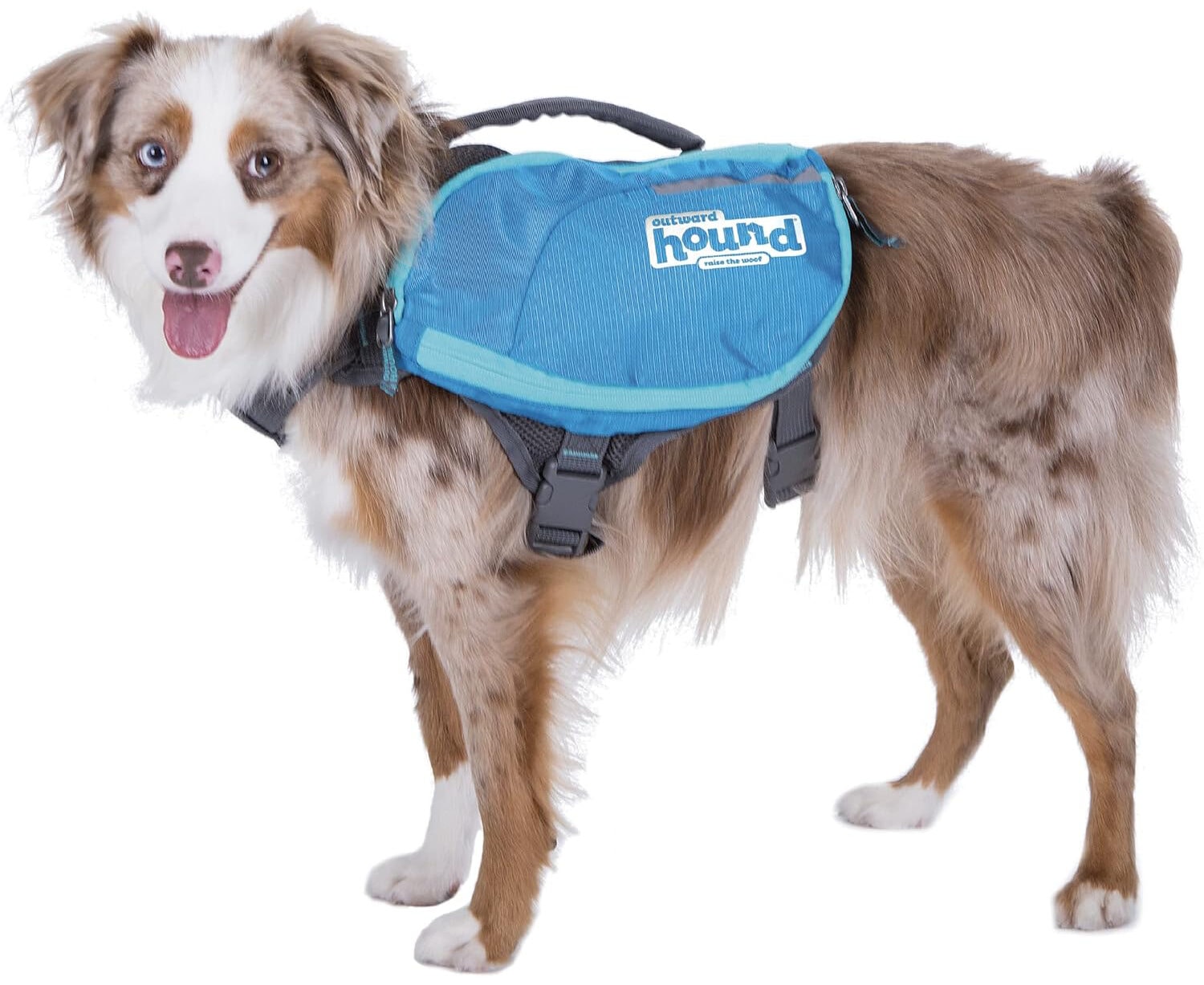 Outward Hound 22003 Daypak