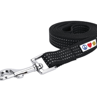 Pawtitas Nylon Reflective Dog Leash