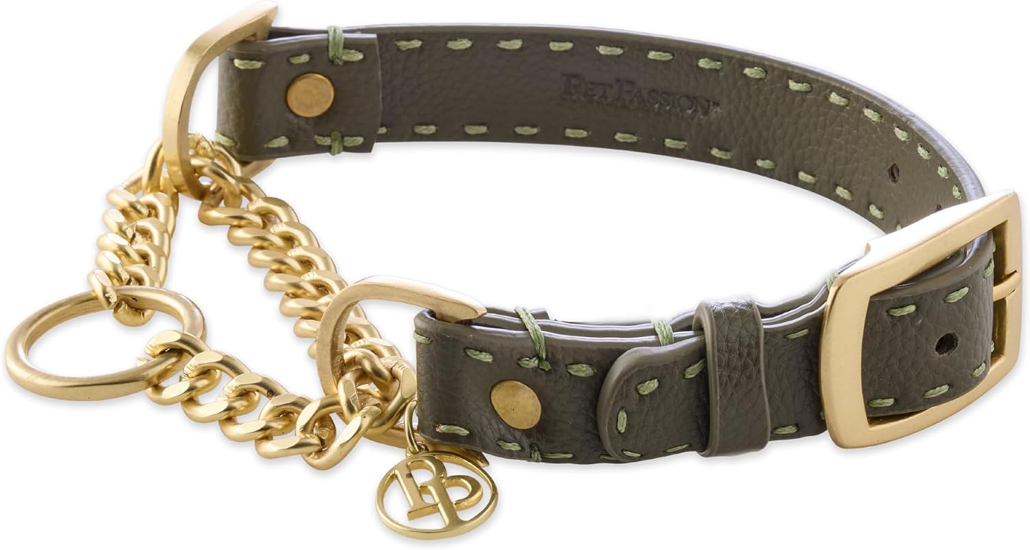 Pet Passion Rein Vegan Leather Chain Martingale Collar