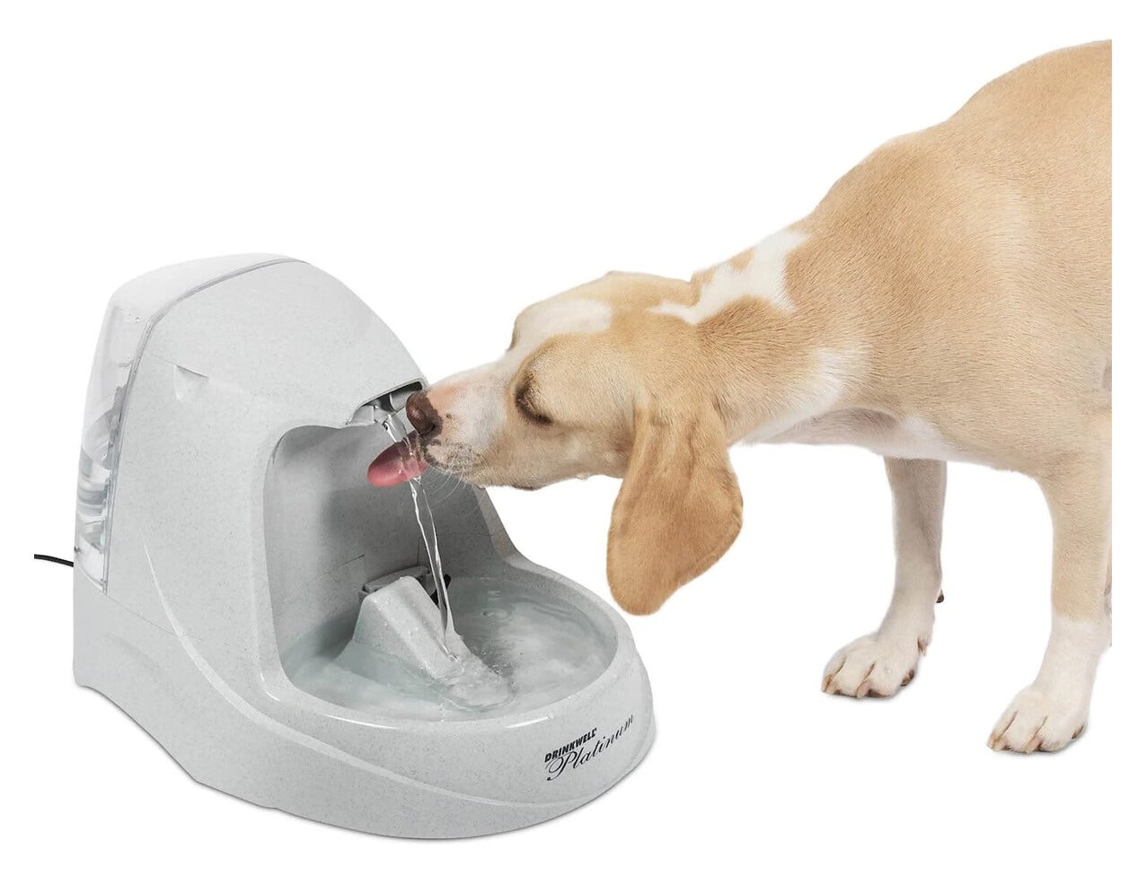 PetSafe Drinkwell Dog Water Fountain