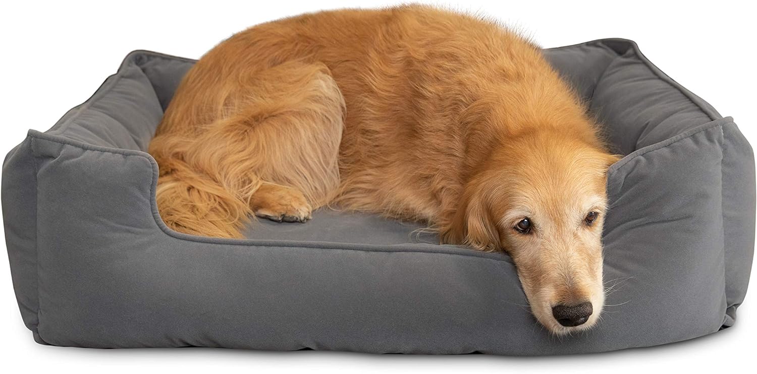 Petsbao Orthopedic Dog Bed