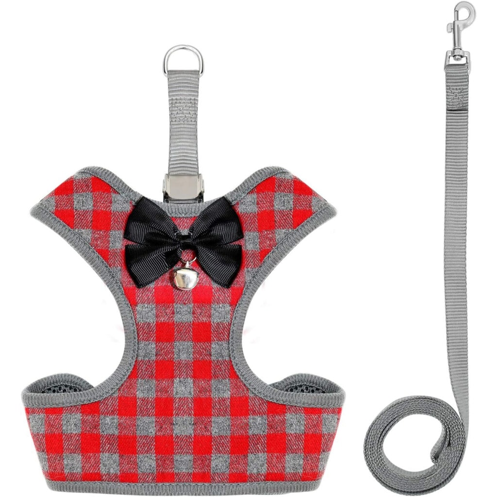 Best Small Dog Harness Essentials for Active Owners Best Small Dog Harness Essentials for Active Owners