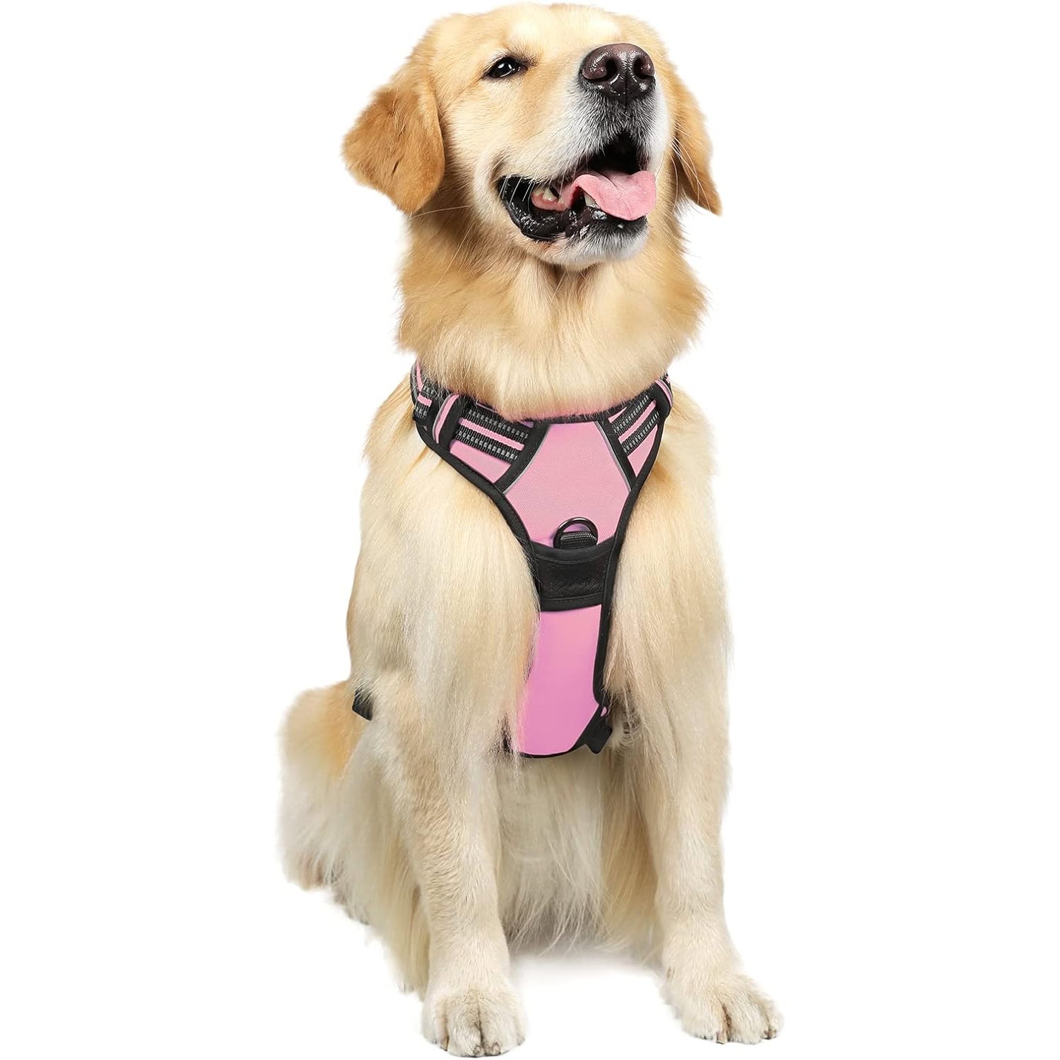 Rabbitgoo Dog Harness