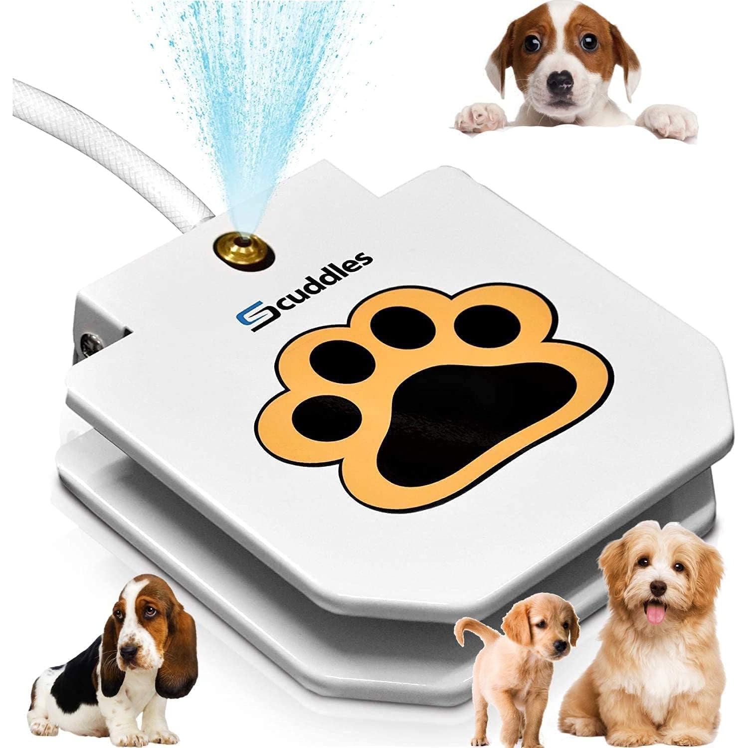 Scuddles Dog-Feeder Water Fountain