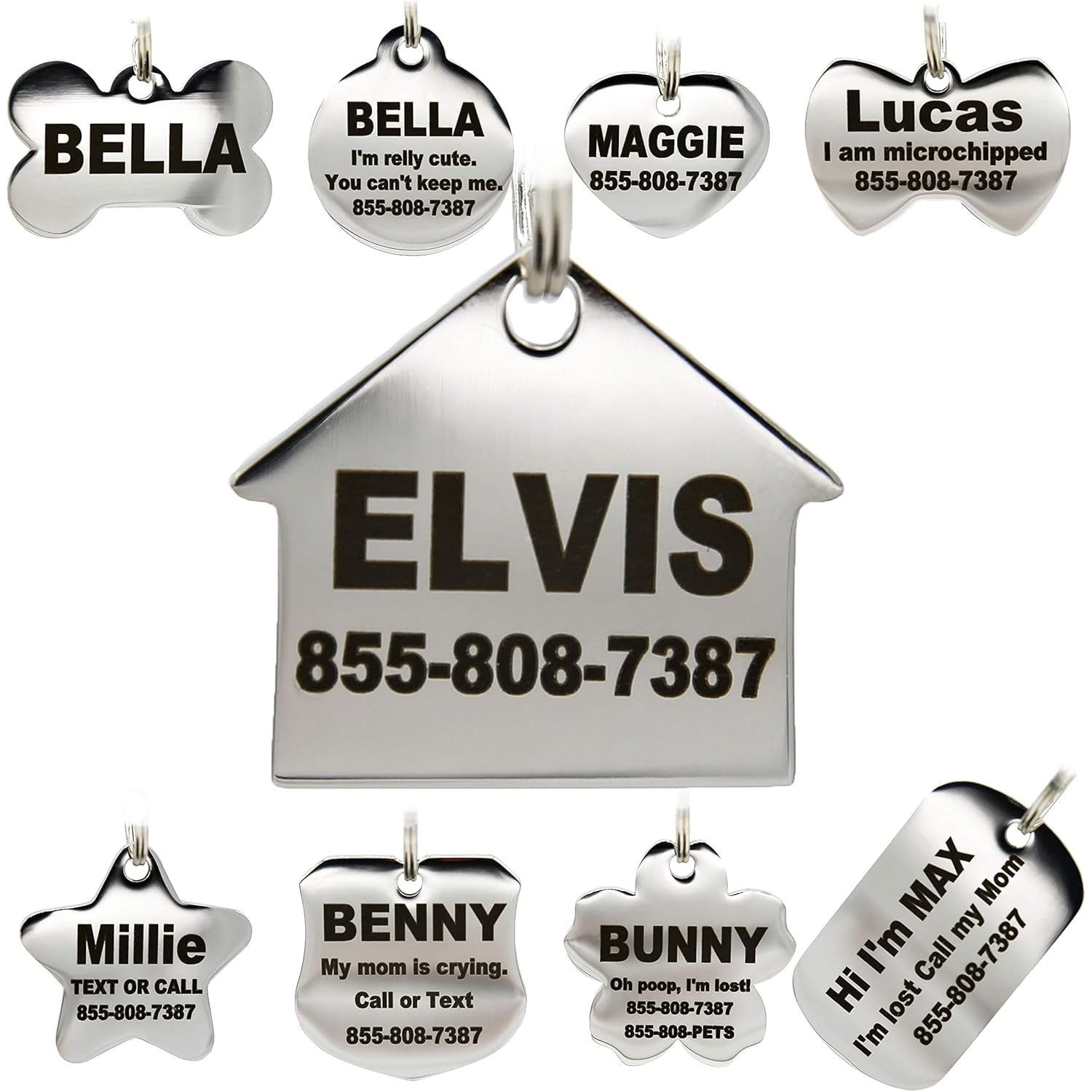 PetANTastic Stainless Steel Pet ID Tags