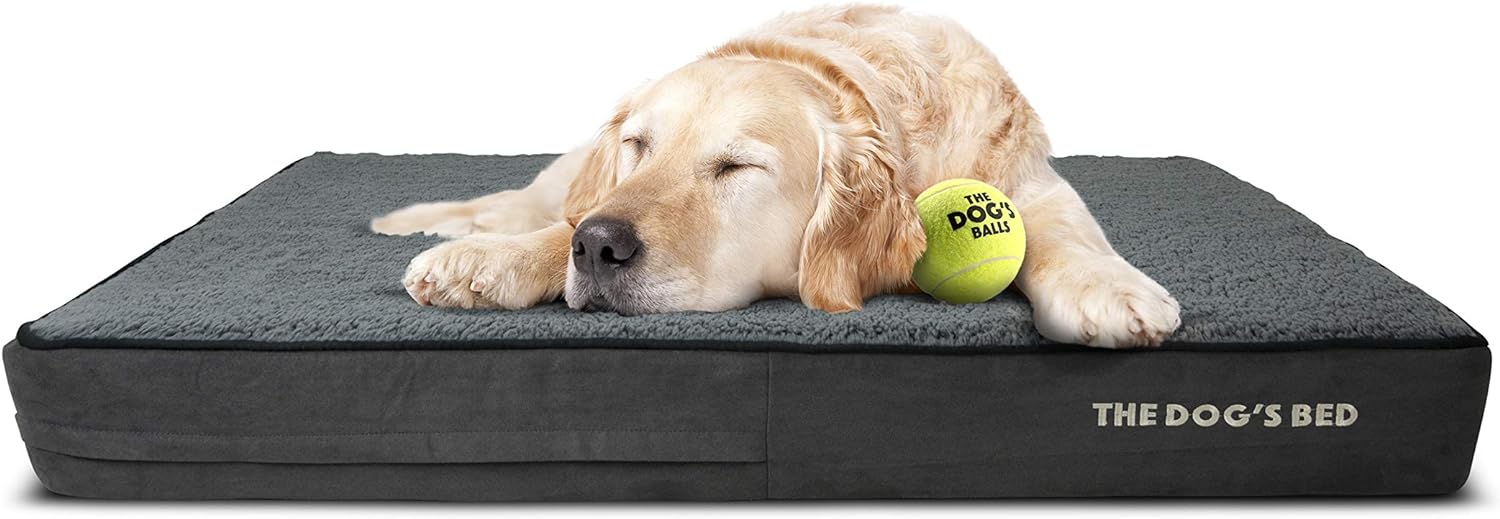 The Dog’s Bed Orthopedic Dog Bed