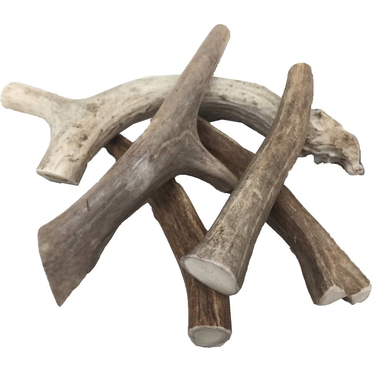 Top Dog Antler Chews
