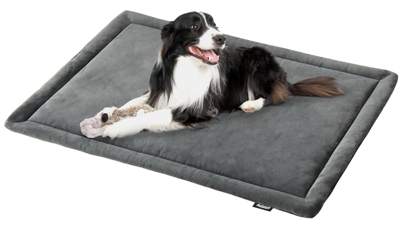 Allisandro Water-Proof Dog Bed