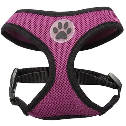BINGPET No Pull Dog Harness for Small Medium Dogs