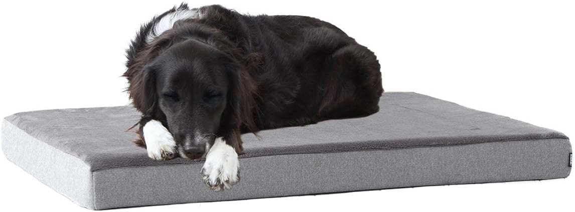 BarkBox Memory Foam Large Dog Bed