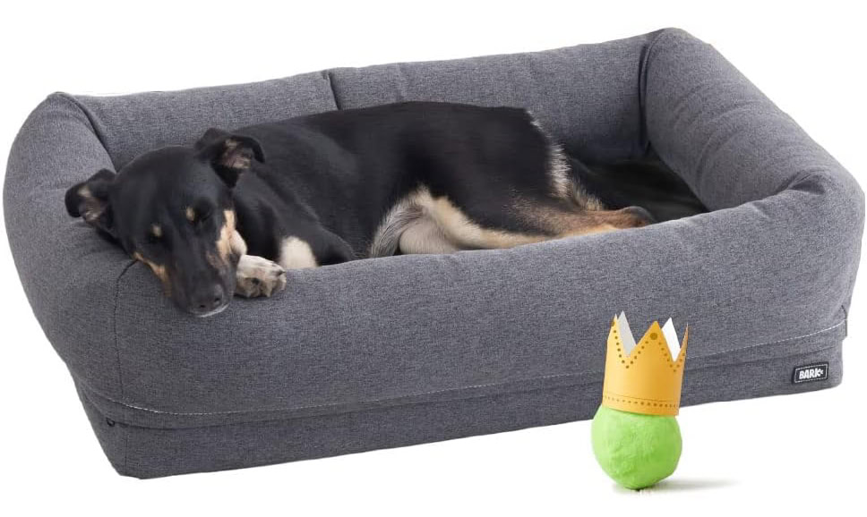 Barkbox Memory Foam Dog Bed with High Density Foam Base for Orthopedic Joint Relief