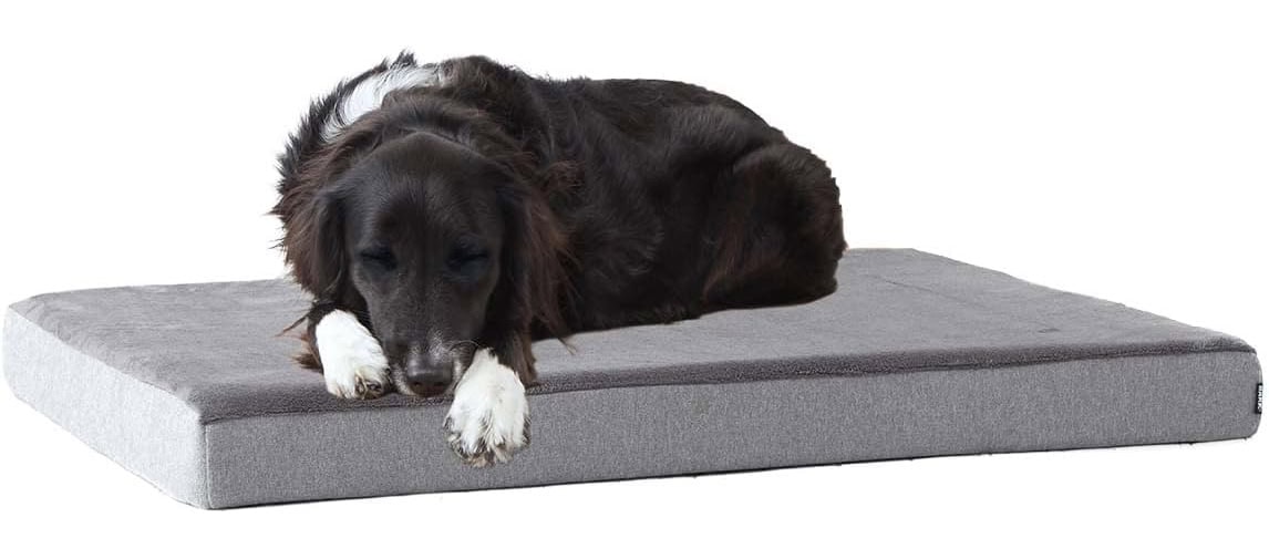 Barkbox Orthopedic Dog Bed 