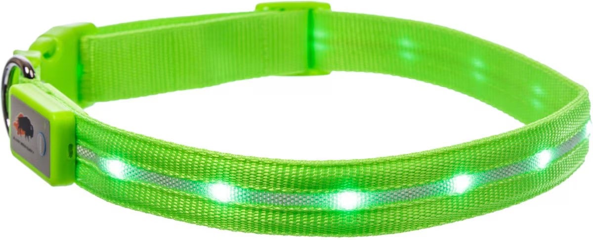 Blazin LED USB Rechargeable Nylon Dog Collar 