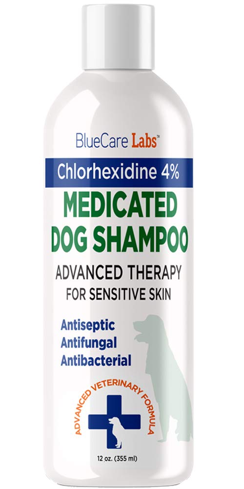 BlueCare Labs Chlorhexidine Shampoo