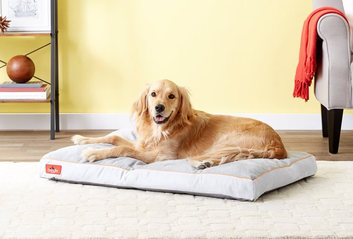 Brindle Memory Foam Dog Bed