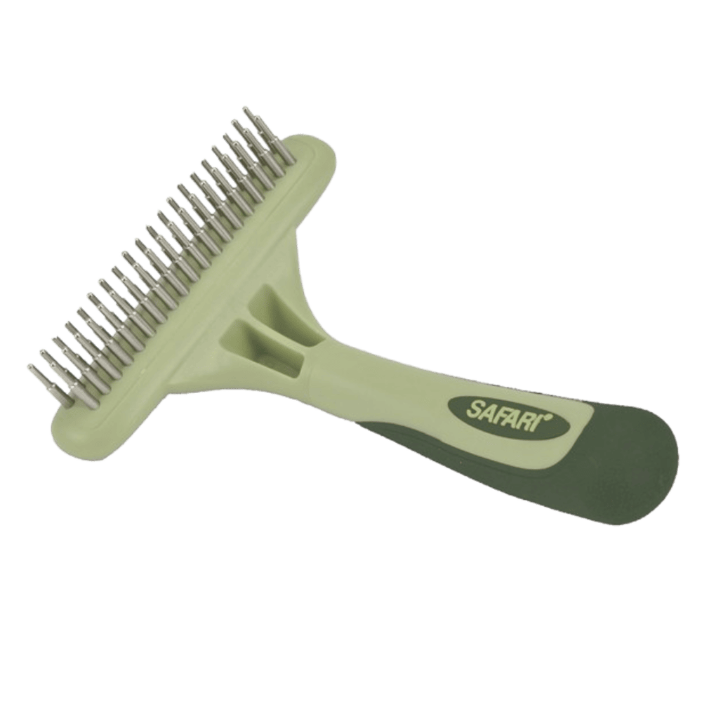 Coastal Dog brush