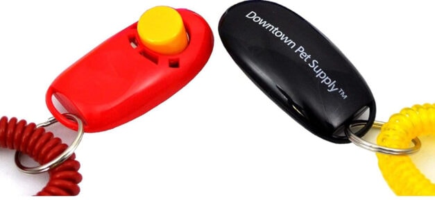 8 Best Dog Clickers for Training 2026 - Reviews & Top Picks | Hepper ...