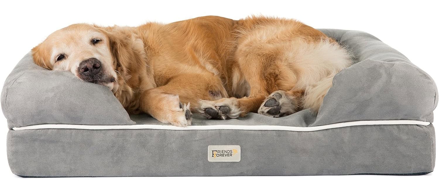 Friends Forever Large Dog Bed, Orthopedic Dog Sofa Memory Foam Mattress, Calming Dog Couch Bed
