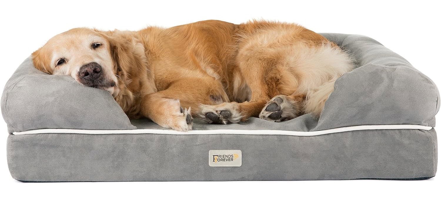 Friends Forever Large Dog Bed, Orthopedic Dog Sofa Memory Foam Mattress 