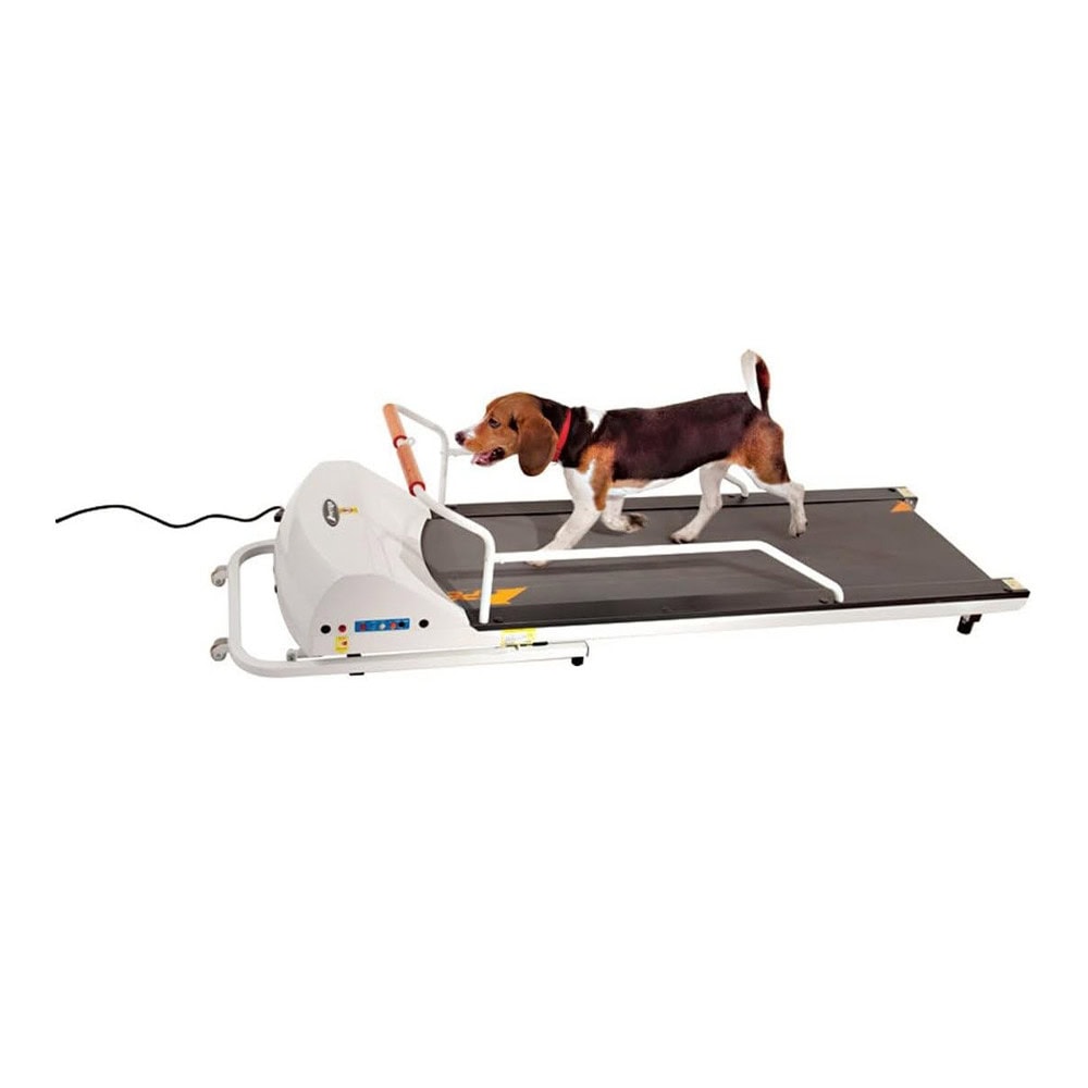 GOPET Treadmill