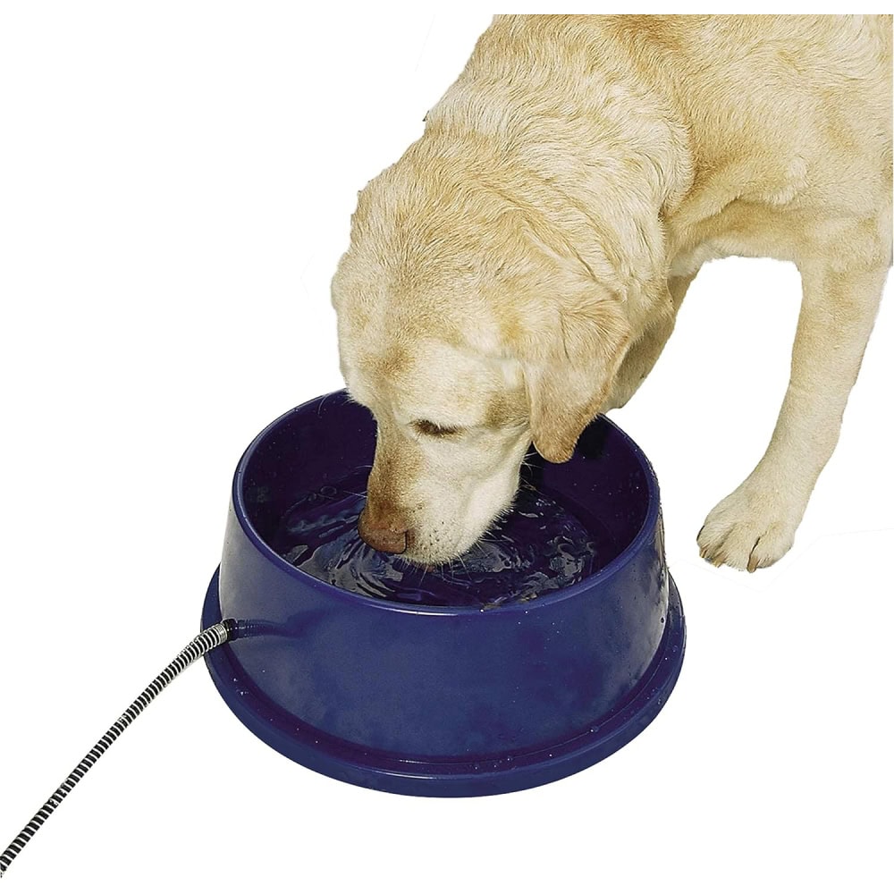 K&H Pet Heated Dog Bowl