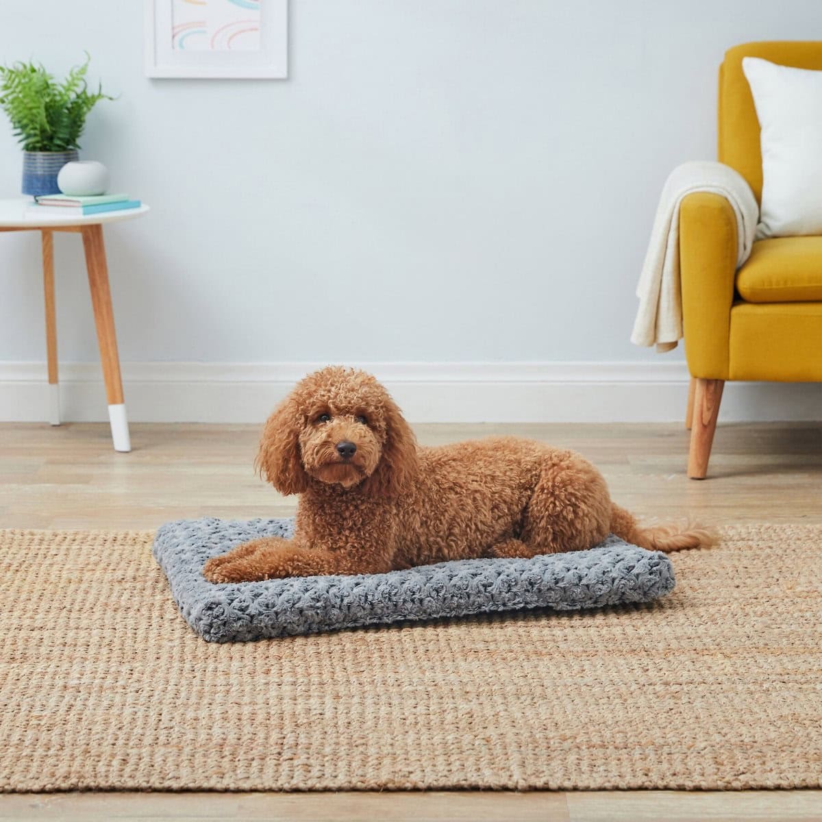 MidWest Home Plush Bed for Dogs