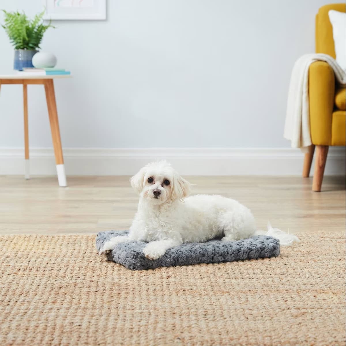MidWest Homes Plush Large Dog Bed