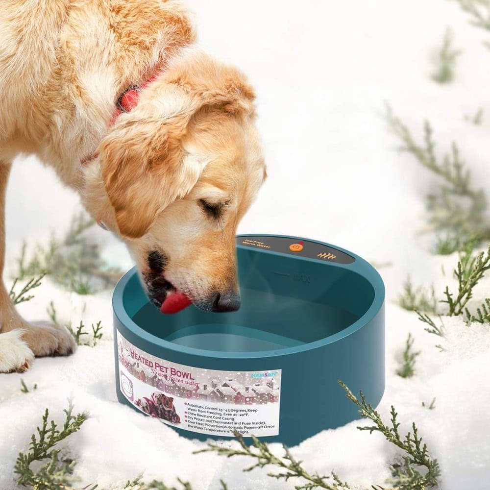 PETLESO Heated Water Bowl for Dog 