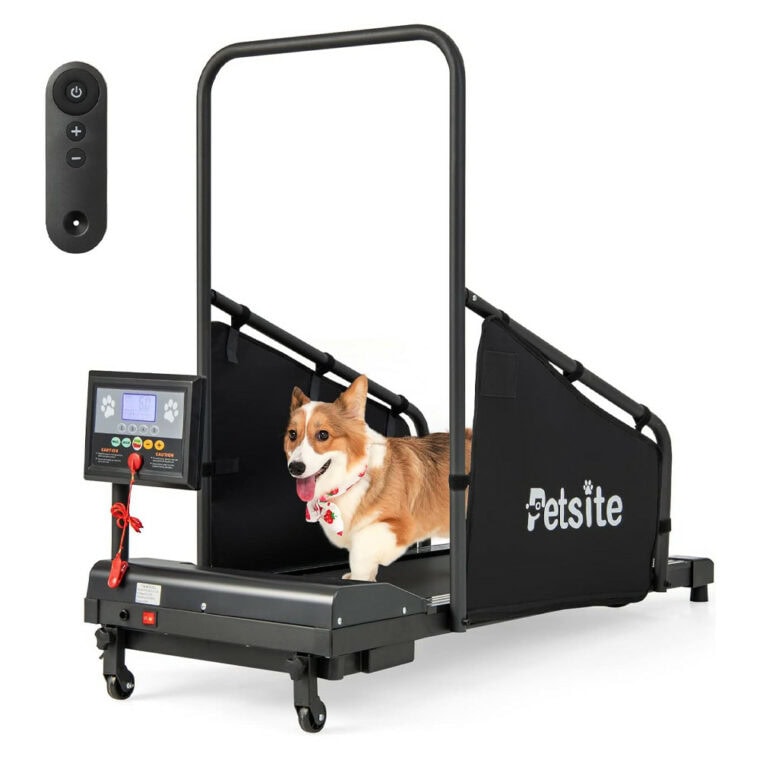 Detachable Fall Protection Railing 5 Best Dog Treadmills of 2026 - Reviews & Top Picks | Hepper Pet Resources