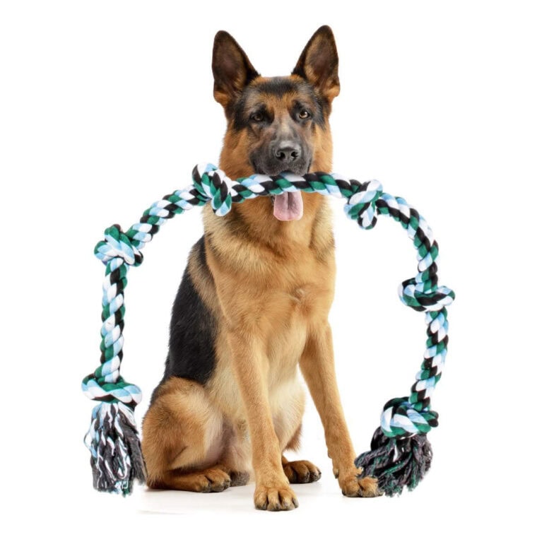 Dog Rigging Rope Toys 8 Best Dog Rope Toys of 2026 - Reviews & Top Picks | Hepper Pet Resources