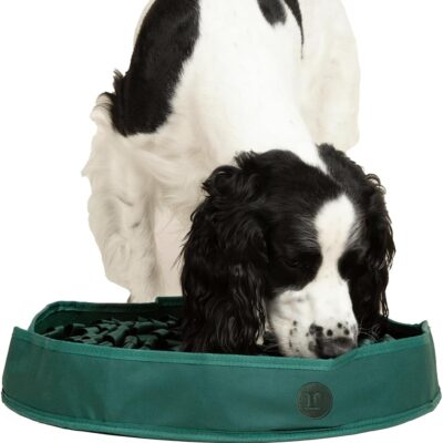 Reggie Stimulating Dog Feeder Mat