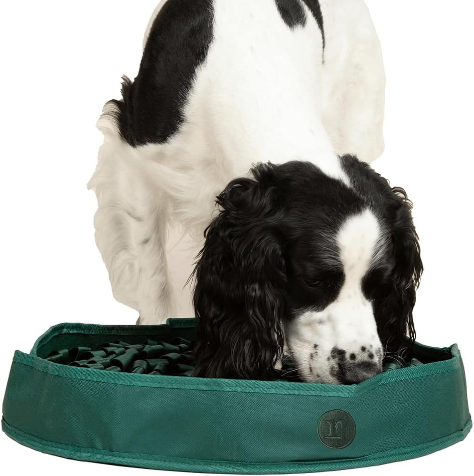Reggie Stimulating Dog Feeder Mat