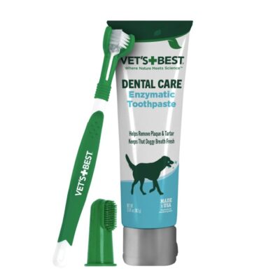 Best Toothbrush & Enzymatic Toothpaste Dental Kit