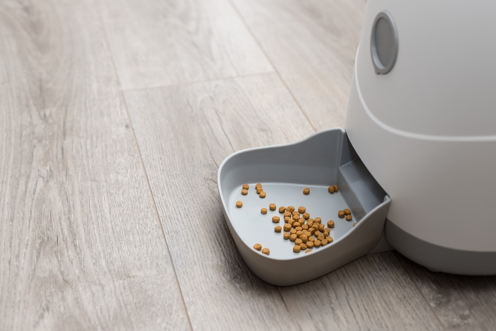 automatic pet food dispenser