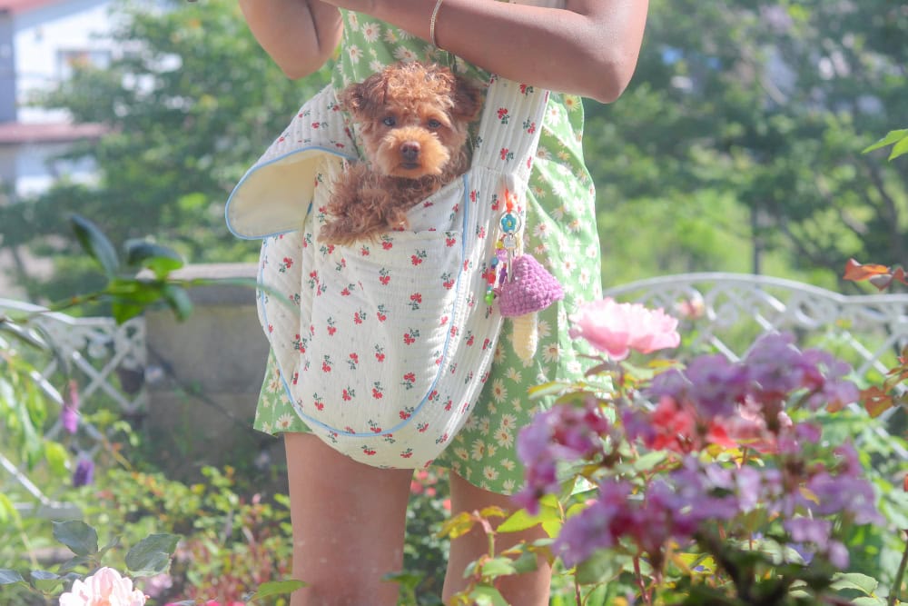 puppy inside of a dog carrier sling bag