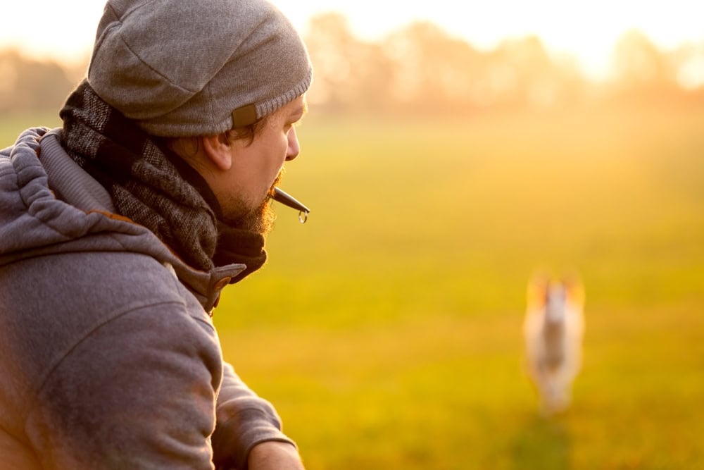 training and obedience with a dog whistle
