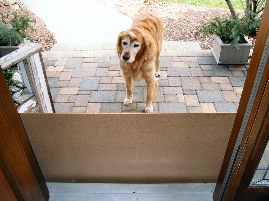 Baby/Pet Gates from Pallet Wood, by Instructibles Workshop
