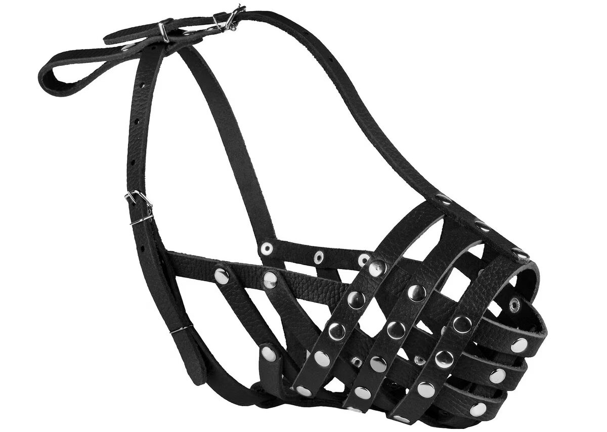 CollarDirect Basket Dog Muzzle
