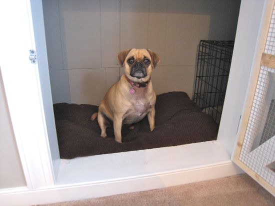 Cupboard Under the Stairs Dog Crate, From Tommy & Ellie