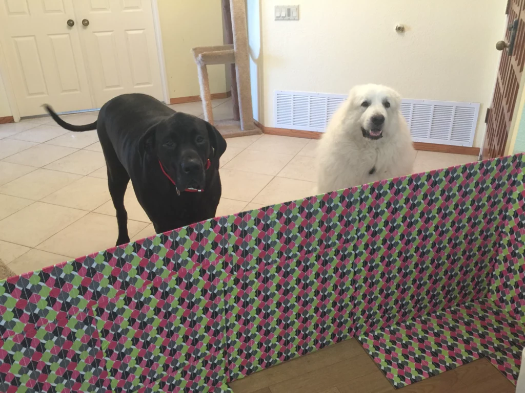 DIY Cardboard Dog Gate, by …Two and Three Quarters