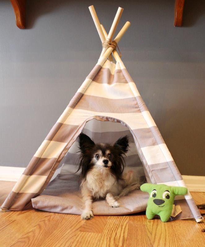 DIY DOG TENT
