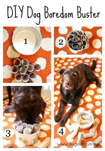 DIY Dog Boredom Buster _ Interactive Dog Toy